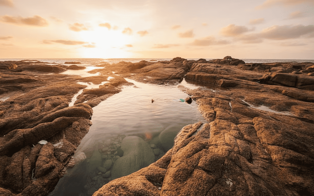 C&ugrave; lao M&aacute;i Nh&agrave;